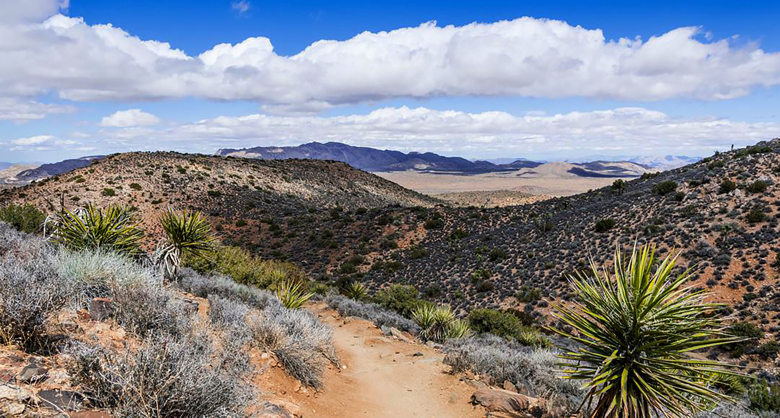 The Pipeline Reality: Living in a Desert Region Requires Importing Water