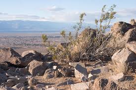 Phase 2 of Adjudication Will Define Basin Safe Yield, But Sustainability Work Continues