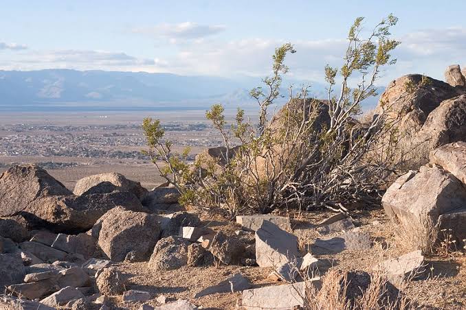 Indian Wells Valley Groundwater Adjudication Court Sharply Questions Experts for the Large Pumpers and Will Appoint a ‘Special Master’